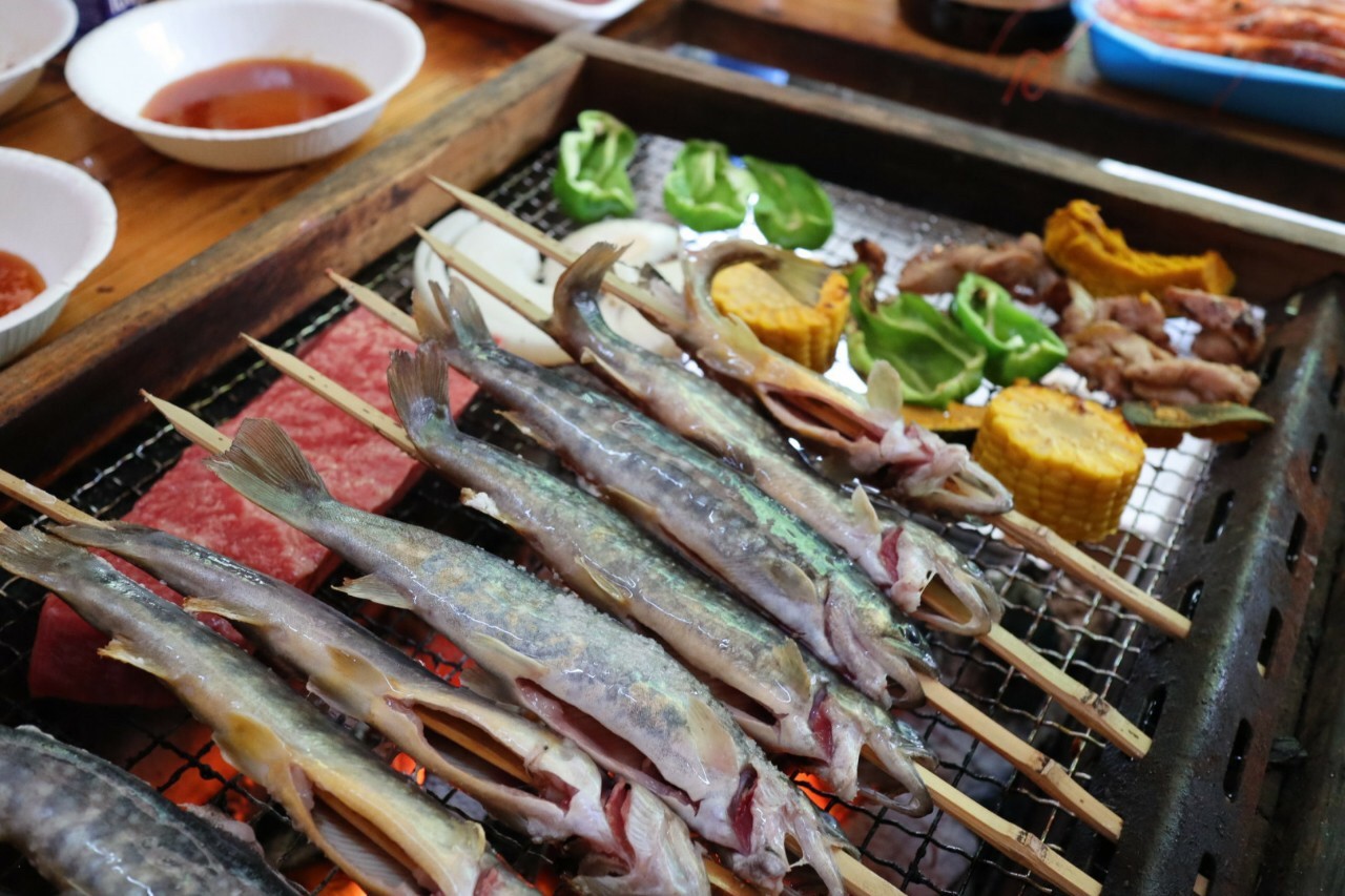魚釣り体験 10月 6月 つかみ取り体験 7月 9月 京都 食べ物作り体験 日帰り旅行 遊び アクティビティ体験 もうひとつの京都